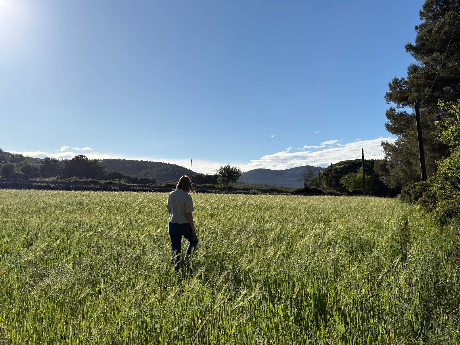 Campo verde en Begues con una persona caminando a lo lejos