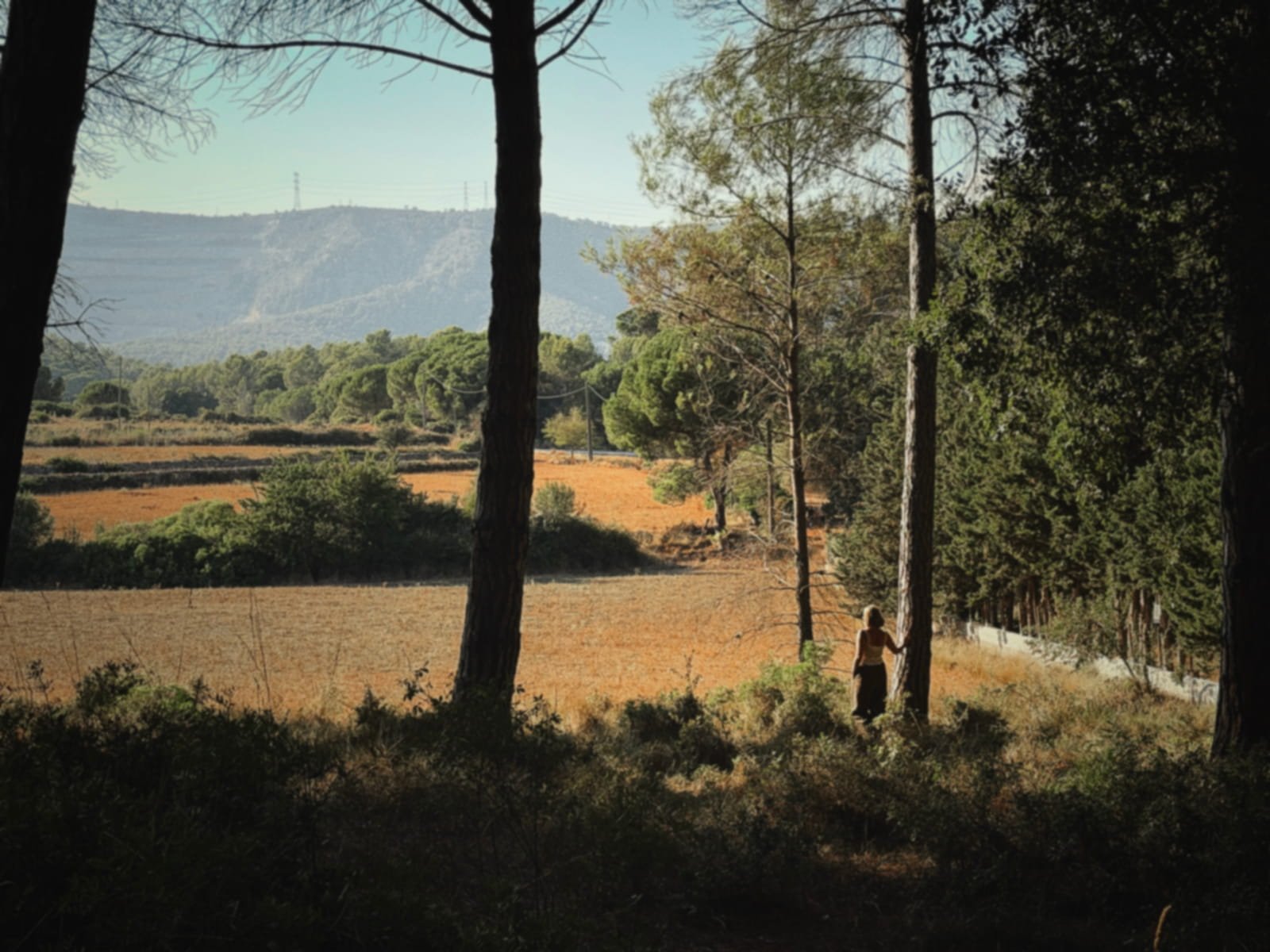 Paisaje natural en tonos tierra con una persona caminando por el sendero