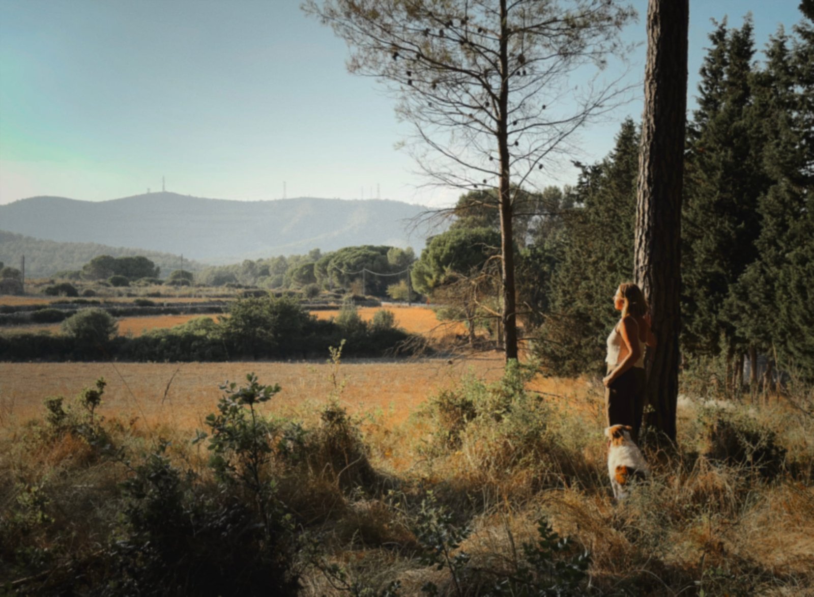 Paisaje natural de Begues con una persona caminando a lo lejos por el campo